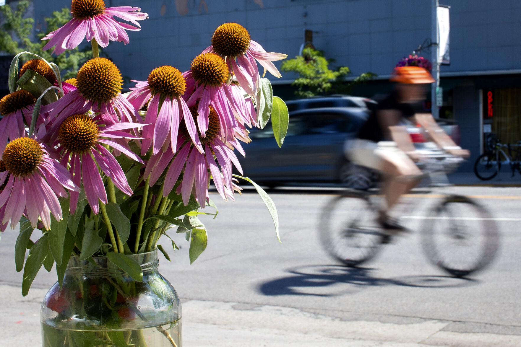 Flowers at crash site of vehicle vs. bicyclist